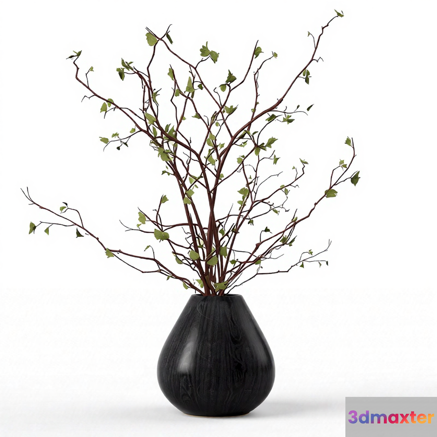 A Black Vase With Branches 3D Model - 5414 - VRAY Render
