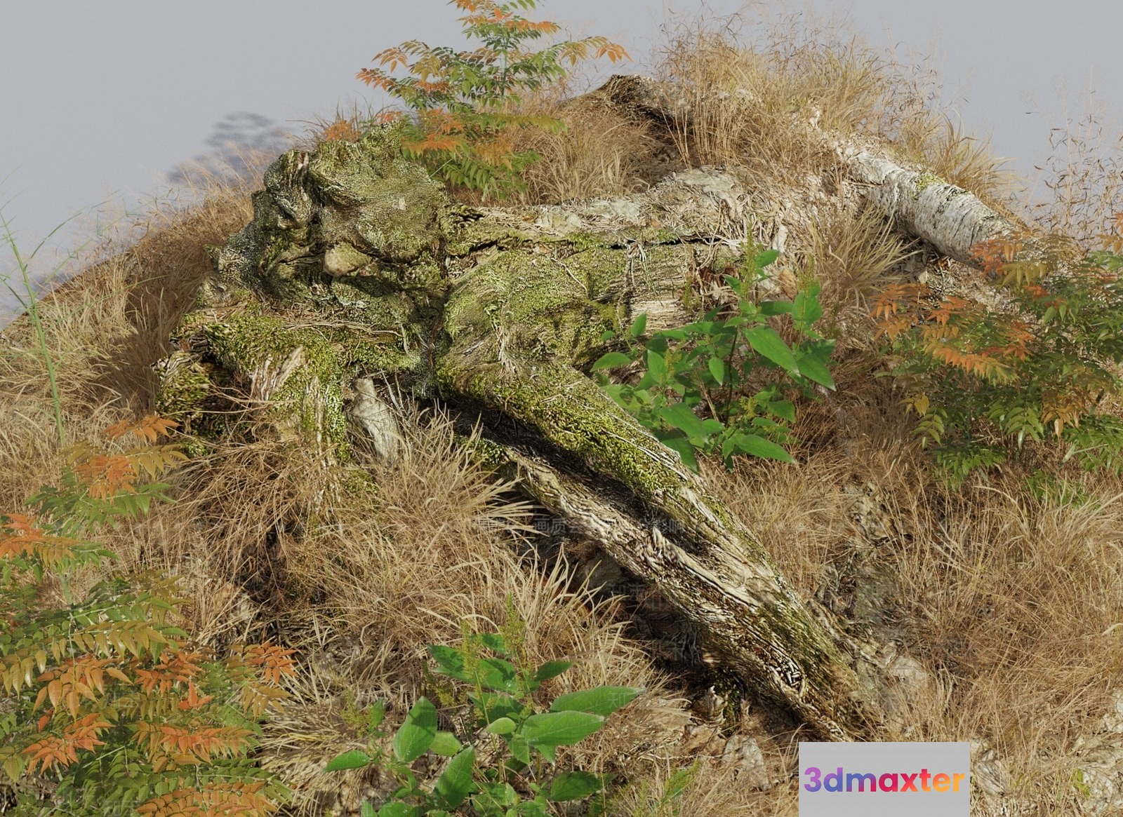 A Moss-Covered Tree Trunk 3D Model - 10121 - VRAY Render