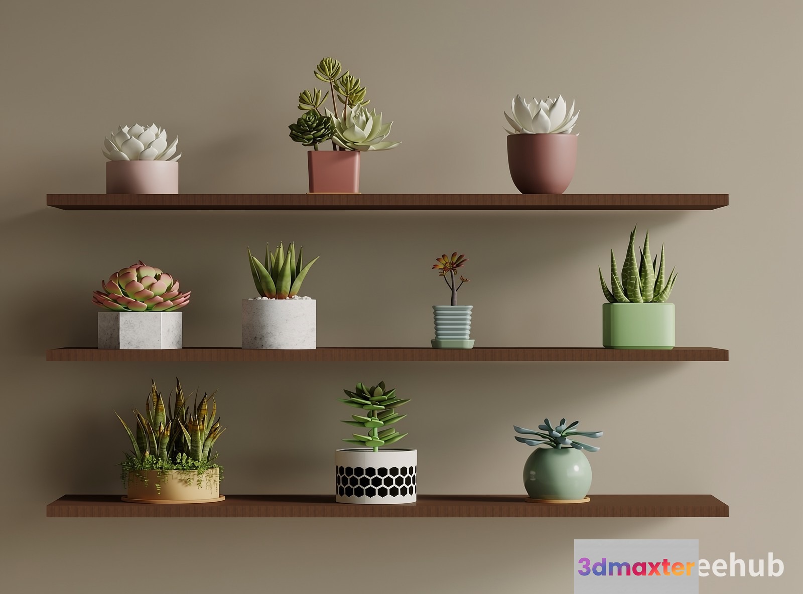 Succulent Plants On Shelves 3D Model - 22926 - VRAY Render