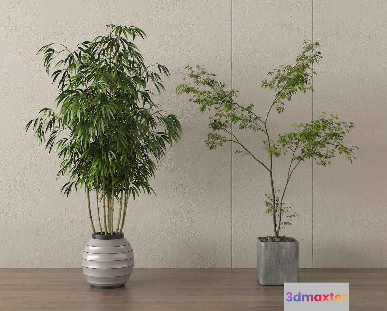 Two Potted Plants 3D Model - 20680 - VRAY Render