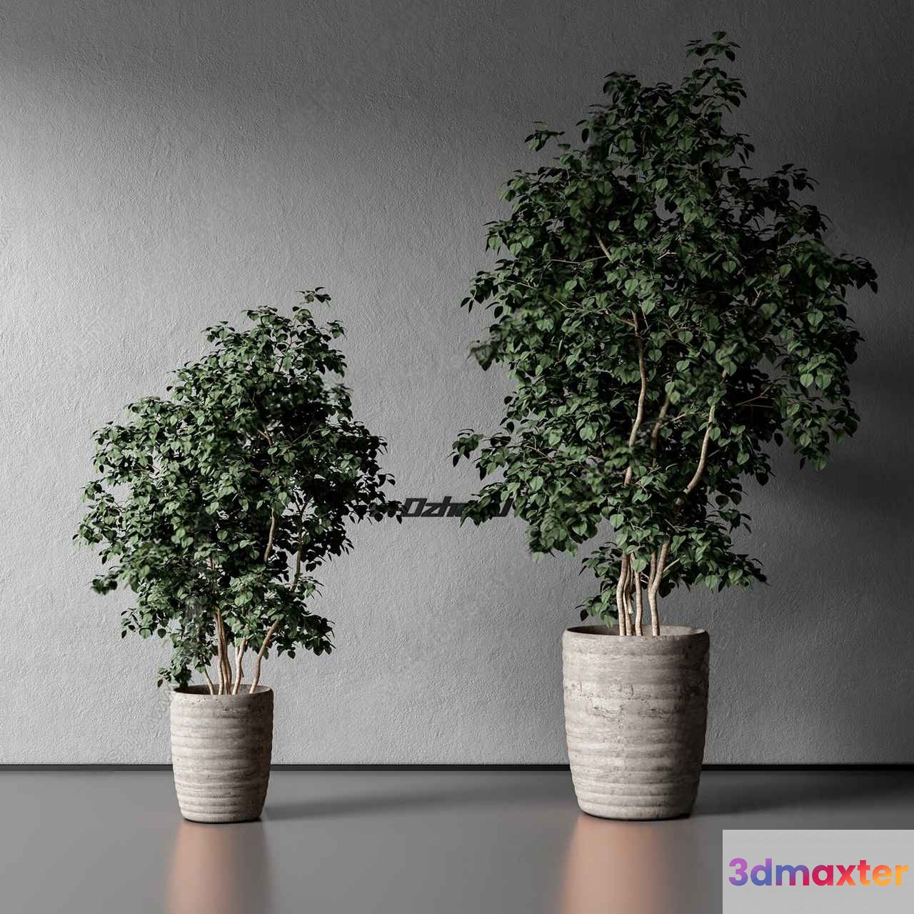 Two Plants In Pots 3D Model - 5986 - VRAY Render