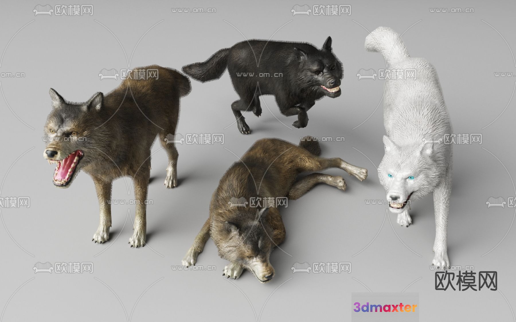 A Group Of Wolves 3D Model - 12423 - VRAY Render