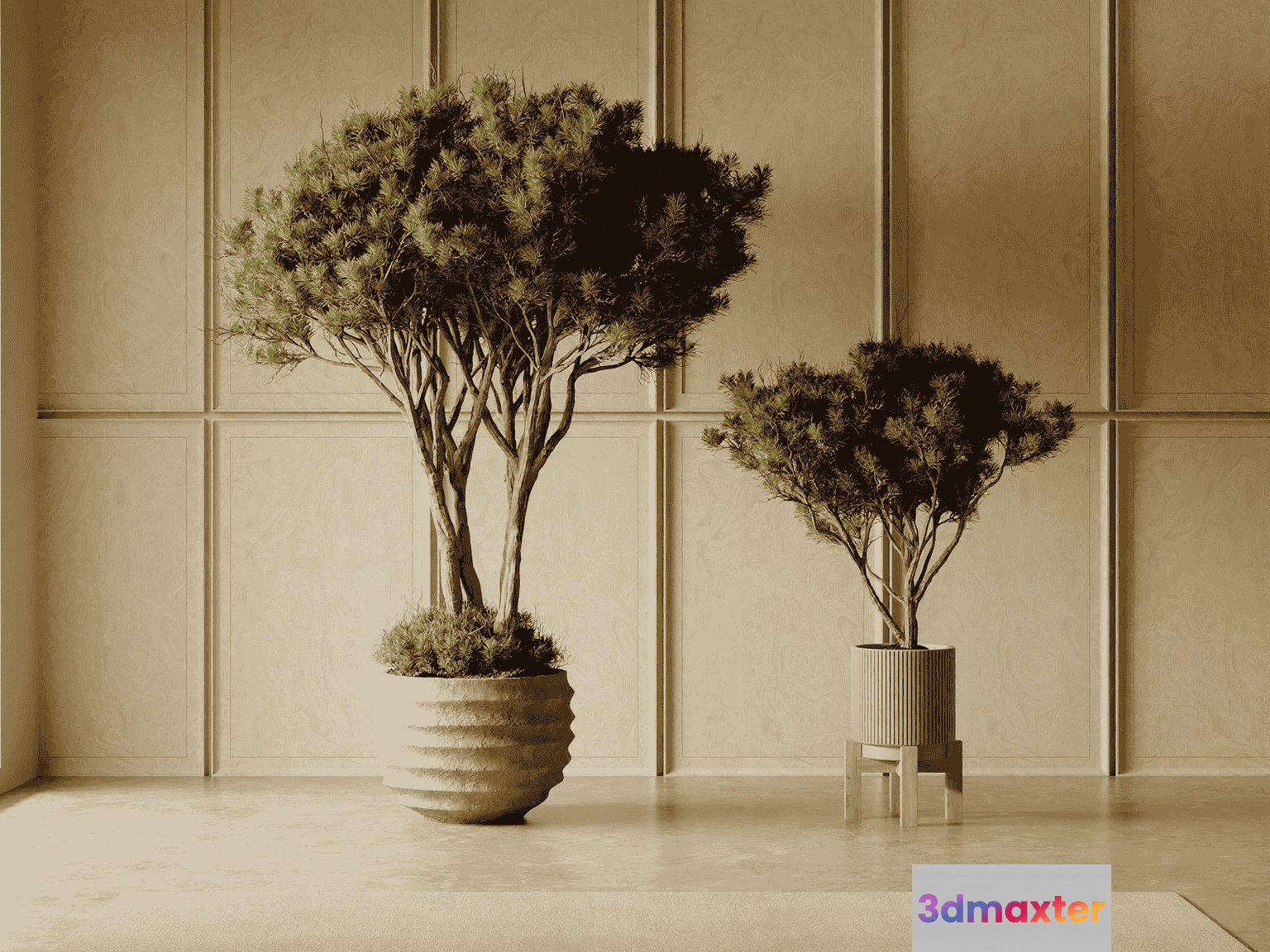 Two Potted Trees 3D Model - 10173 - VRAY Render