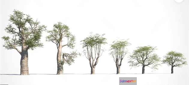 Trees With Green Leaves 3D Model - 9958 - VRAY Render