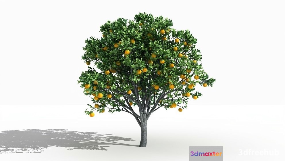 A Tree With Yellow Fruit 3D Model - 23243 - VRAY Render