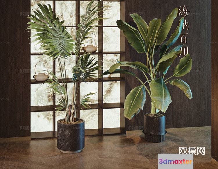 Modern Indoor Plants 3D Model - 14824 - CORONA Render