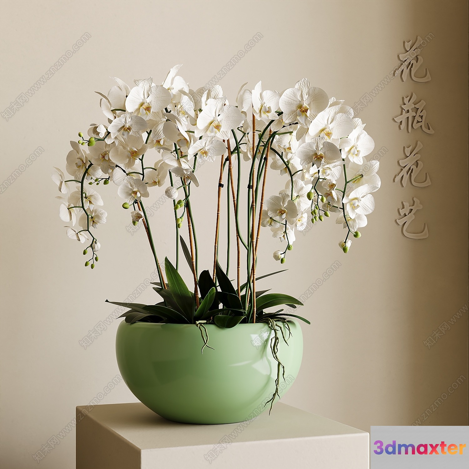 A White Orchid In A Green Pot 3D Model - 12340 - VRAY Render