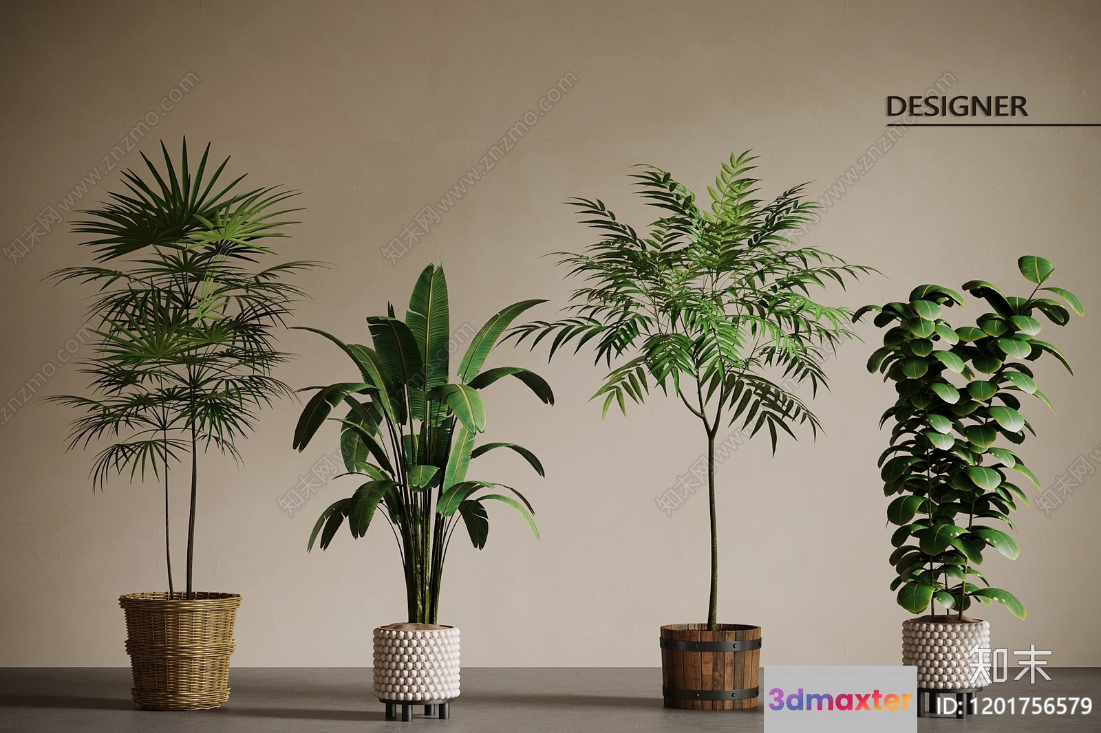 Four Indoor Plants 3D Model - 9247 - VRAY Render