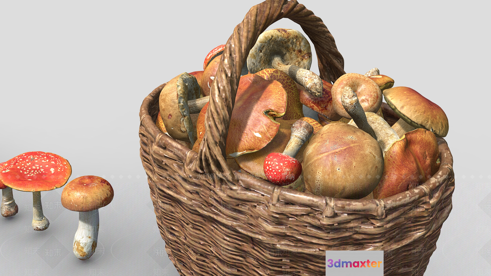 A Basket Of Mushrooms 3D Model - 16034 - VRAY Render