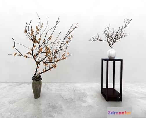 Minimalist White Vases 3D Model - 14387 - VRAY Render
