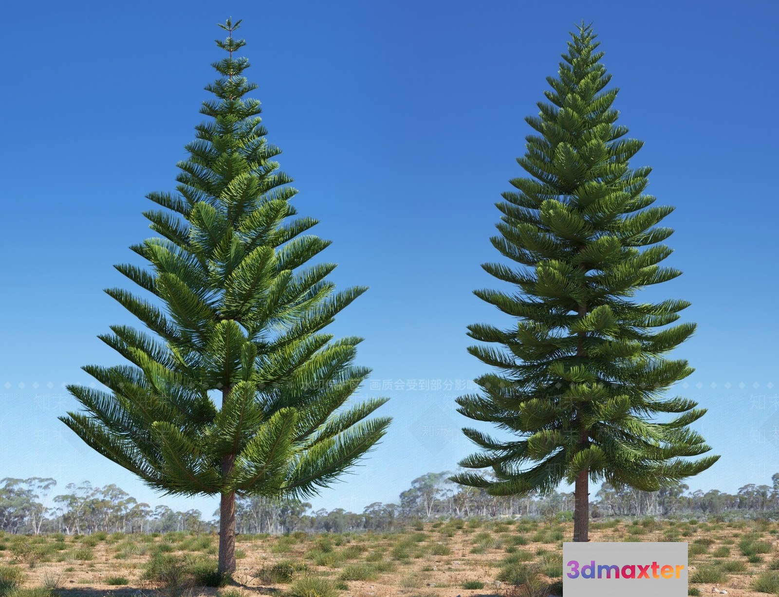Two Trees 3D Model - 16107 - VRAY Render