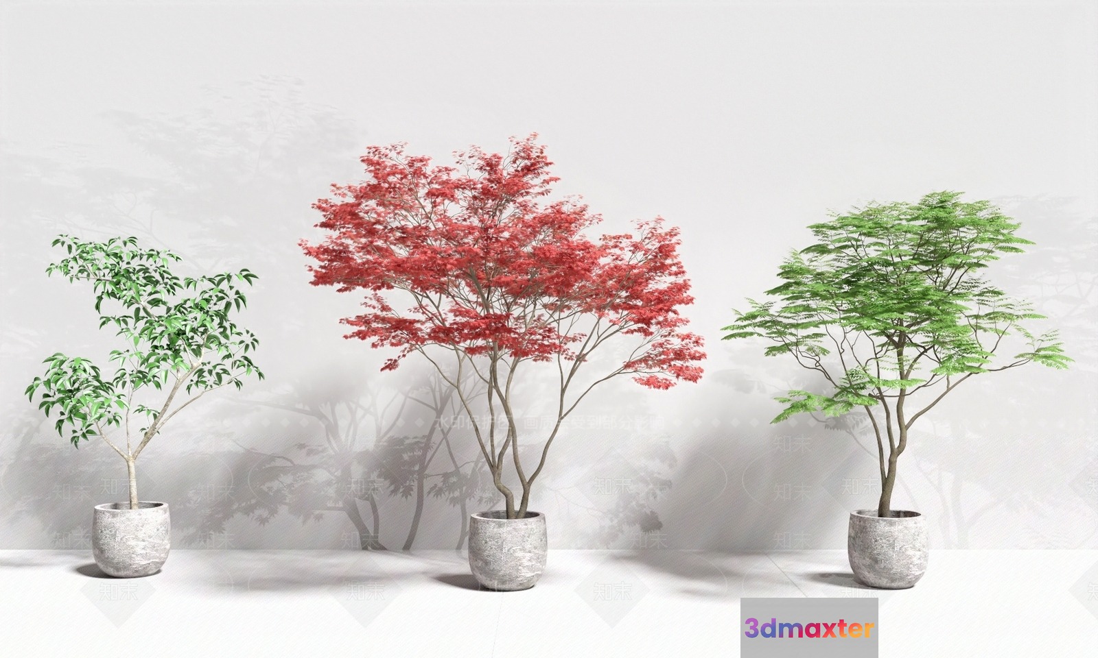 A Potted Tree With Red Leaves 3D Model - 18192 - VRAY Render