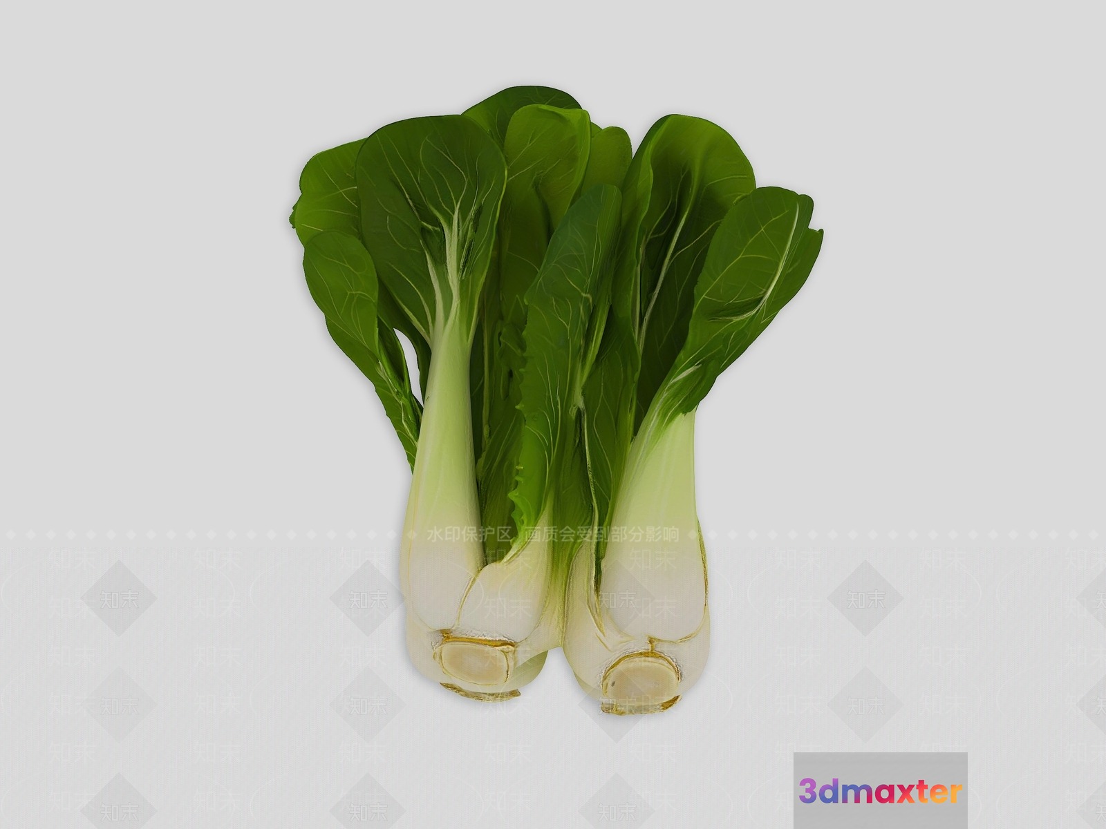 A Bunch Of Green And White Vegetables 3D Model - 16039 - VRAY Render