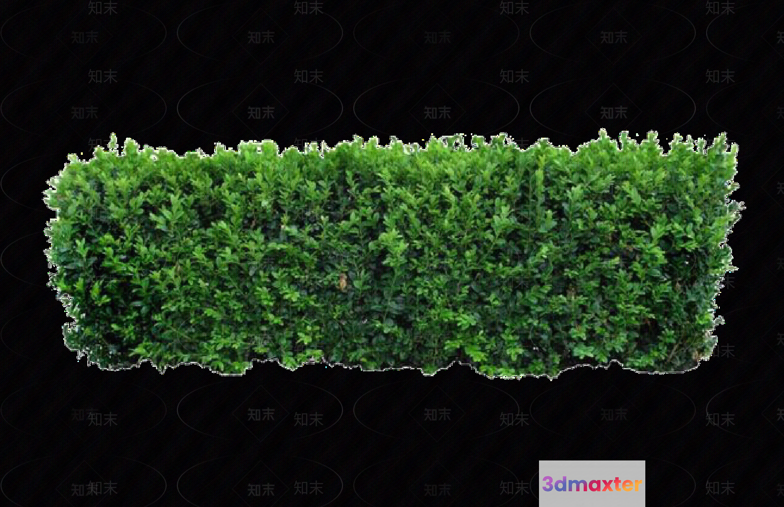 A Green Hedge 3D Model - 5633 - VRAY Render