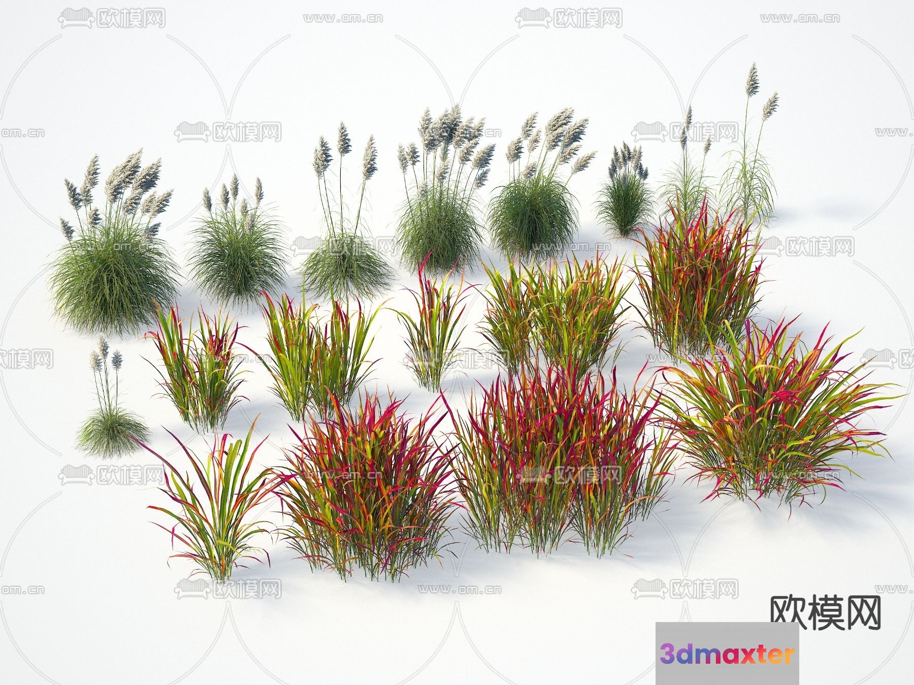 A Collection Of Grasses 3D Model - 18826 - VRAY Render