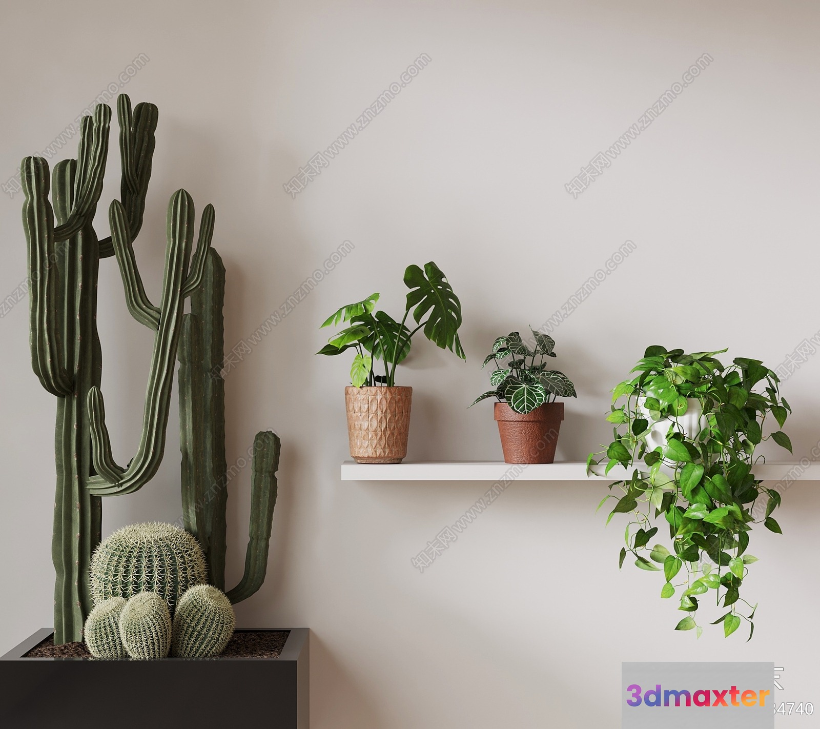 Green Houseplants 3D Model - 5118 - VRAY Render