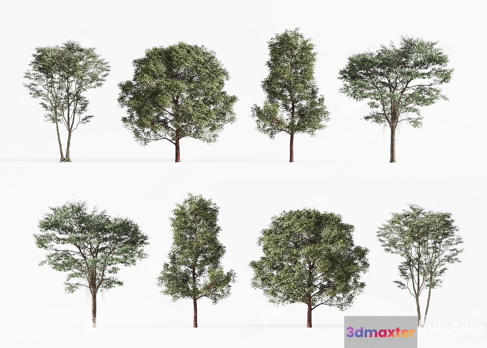 Trees. The Trees Are Green 3D Model - 22567 - VRAY Render