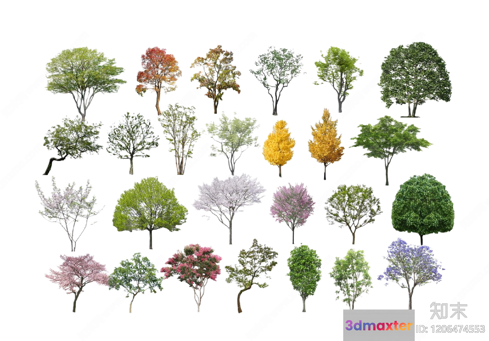 Tree Silhouettes 3D Model - 11379 - VRAY Render