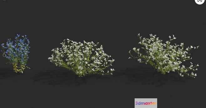A Cluster Of Flowers 3D Model - 9278 - VRAY Render