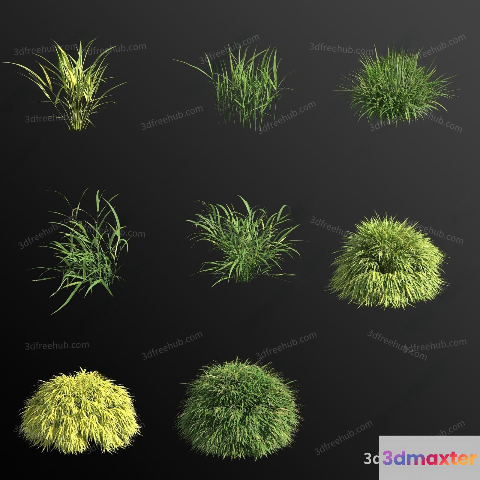 A Collection Of Grasses 3D Model - 23509 - VRAY Render