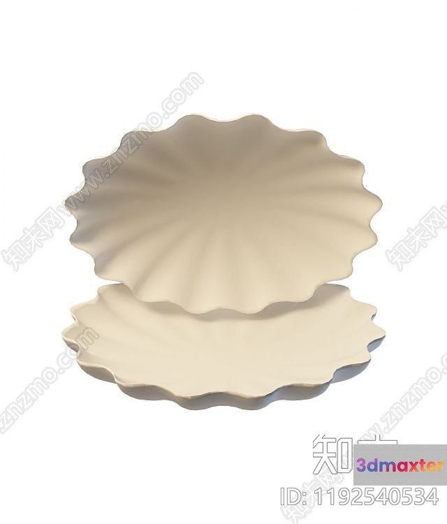 Two Beige Seashells 3D Model - 16512 - VRAY Render