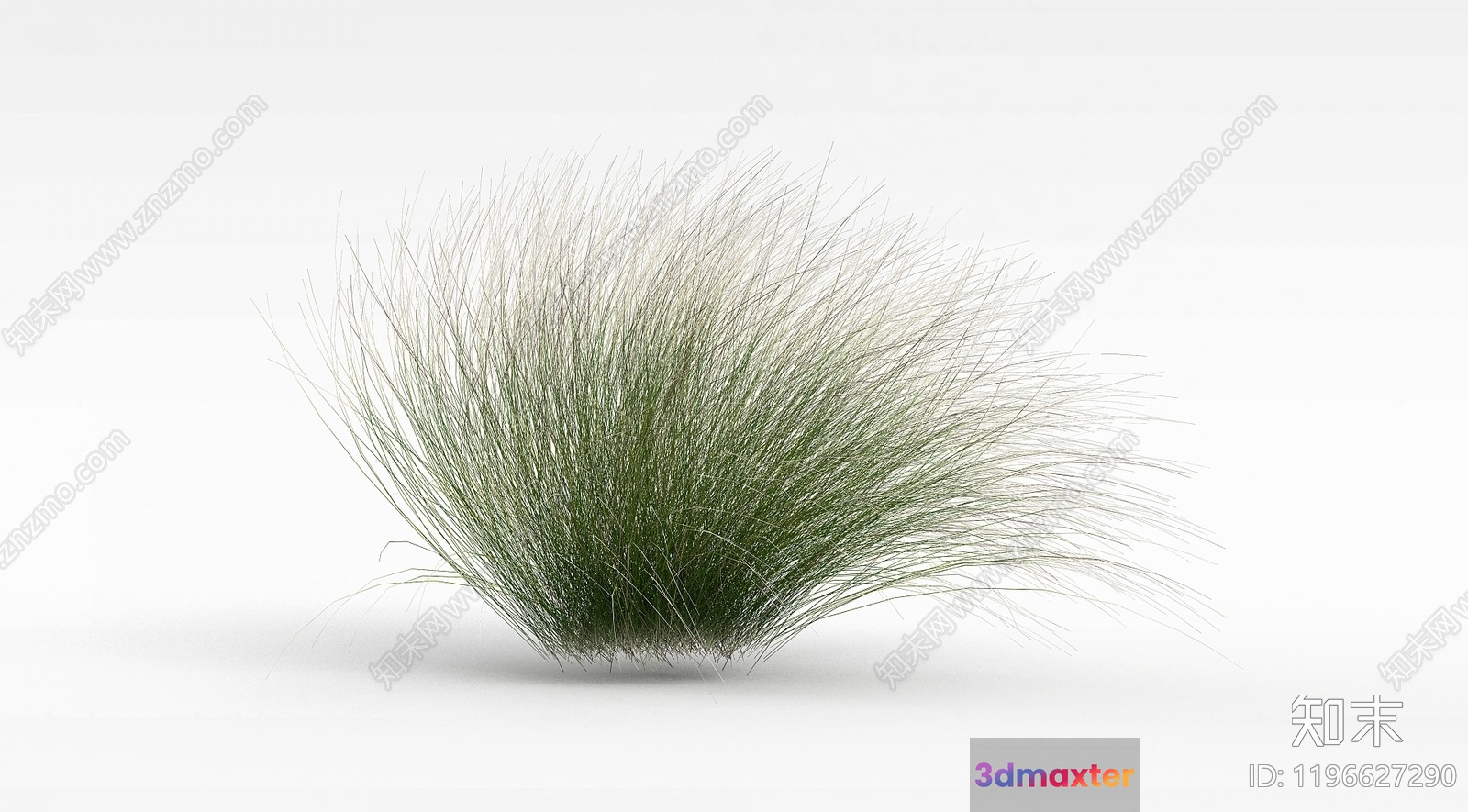 A Tuft Of Green Grass 3D Model - 11777 - VRAY Render