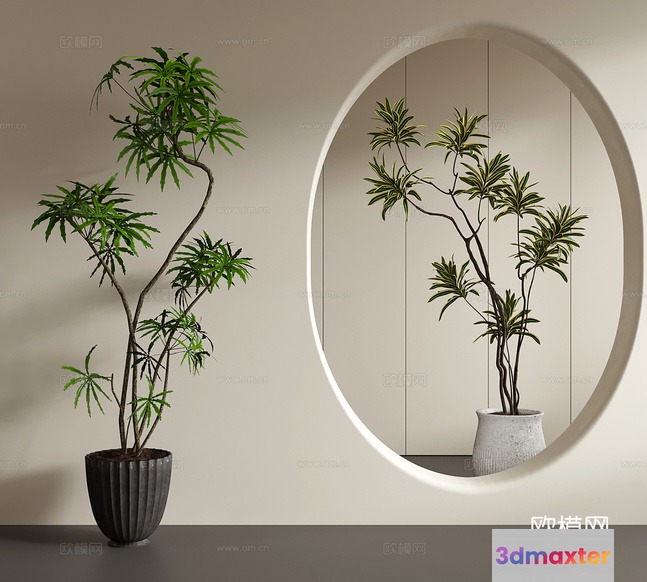 Two Potted Plants 3D Model - 10285 - VRAY Render