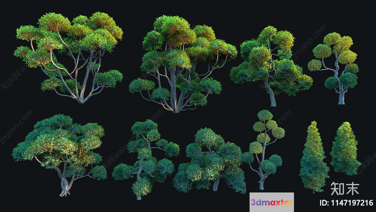 Tree. The Tree Is Green 3D Model - 14063 - VRAY Render