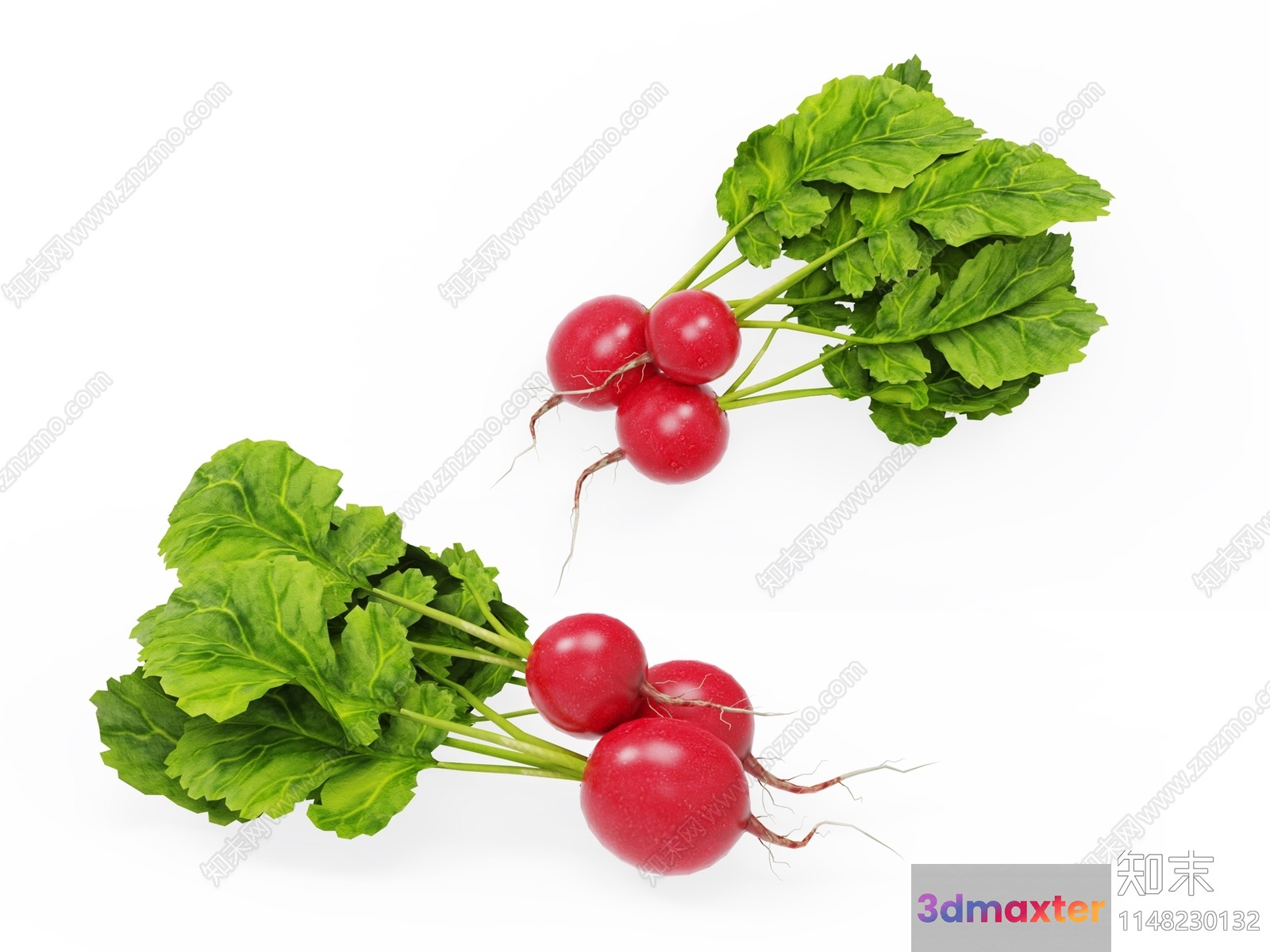 Radish Bunches 3D Model - 12728 - VRAY Render