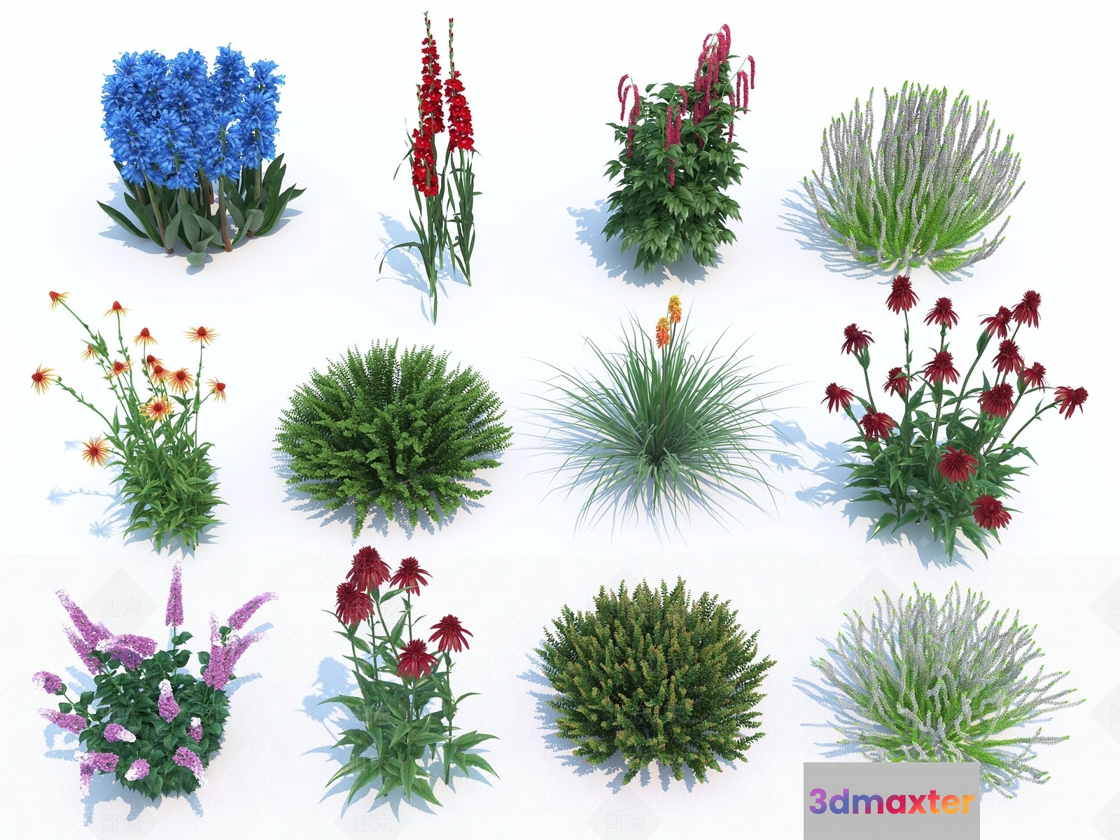 Nine Different Flowers 3D Model - 18335 - VRAY Render