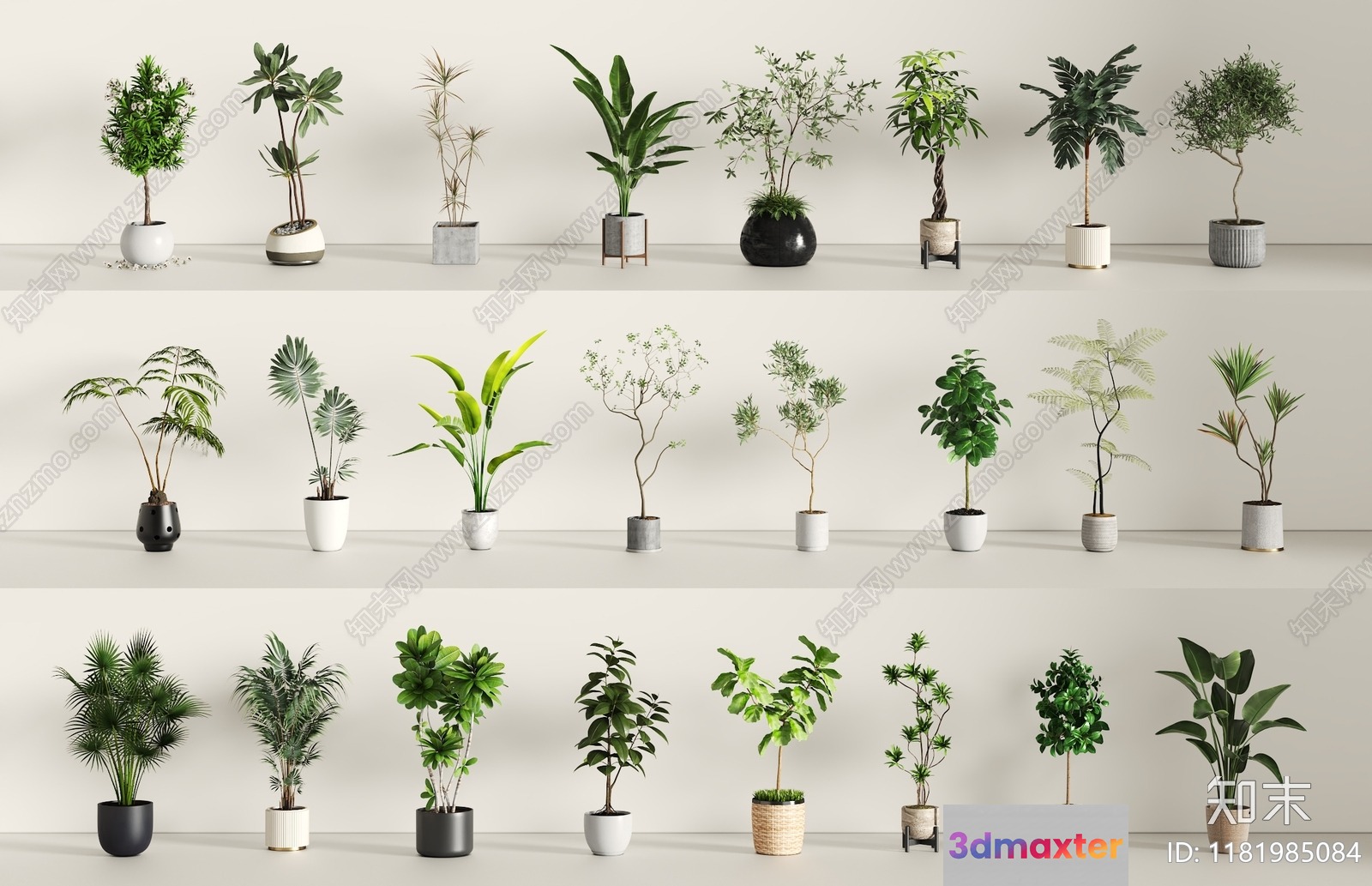 Potted Plants 3D Model - 1865 - VRAY Render
