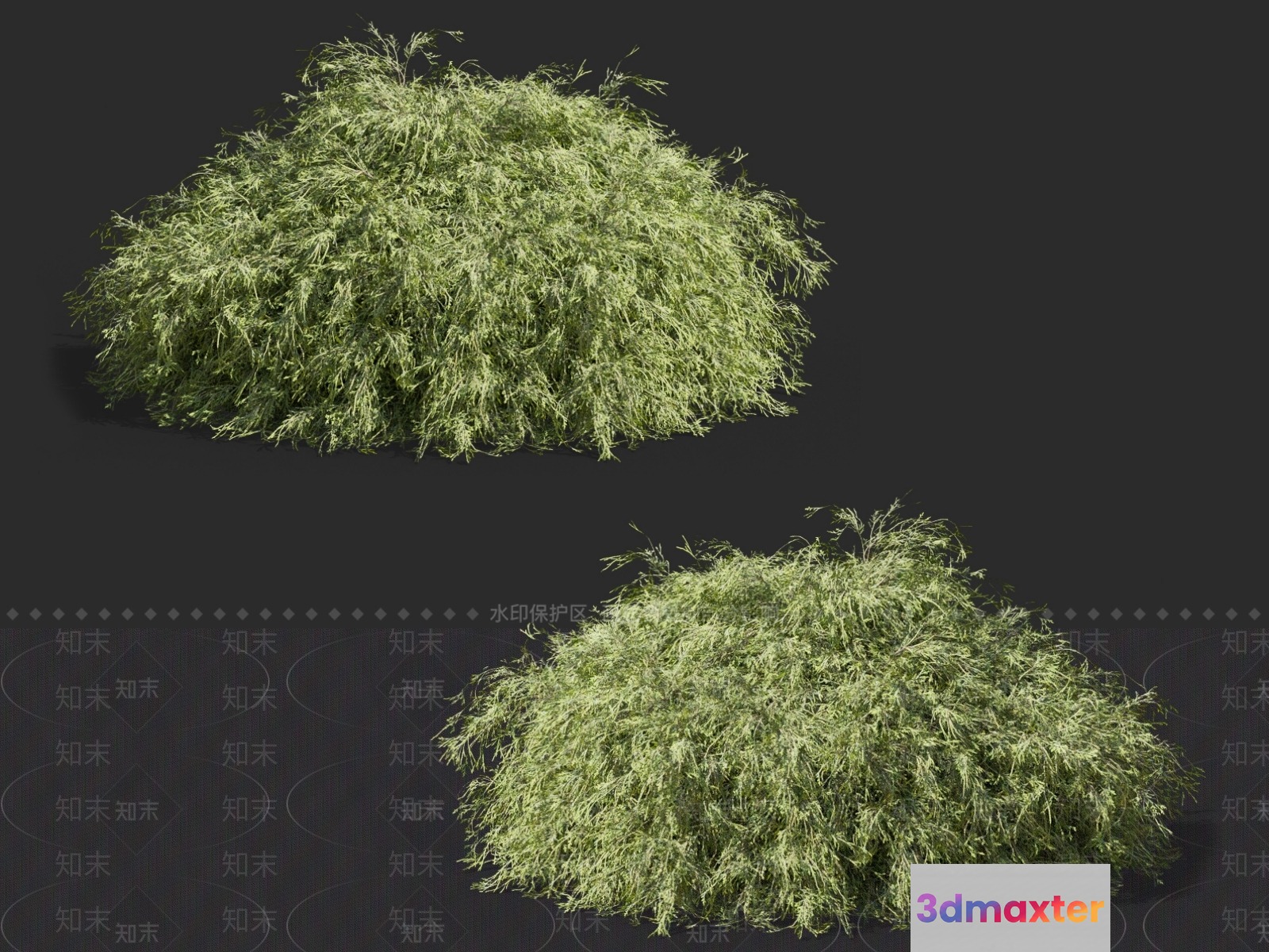 Green Bushy Plants 3D Model - 14697 - VRAY Render