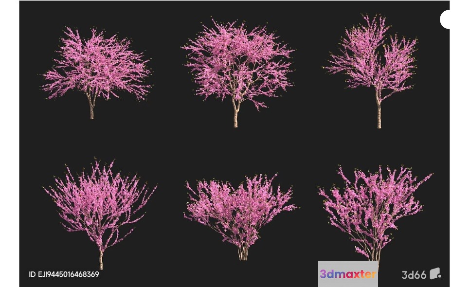 A Collection Of Pink Trees 3D Model - 16172 - VRAY Render