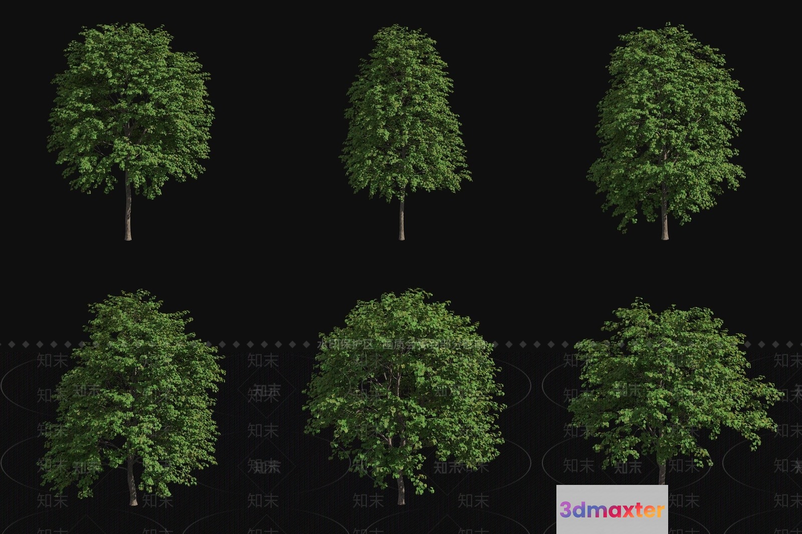 A Tree With Green Leaves 3D Model - 14722 - VRAY Render