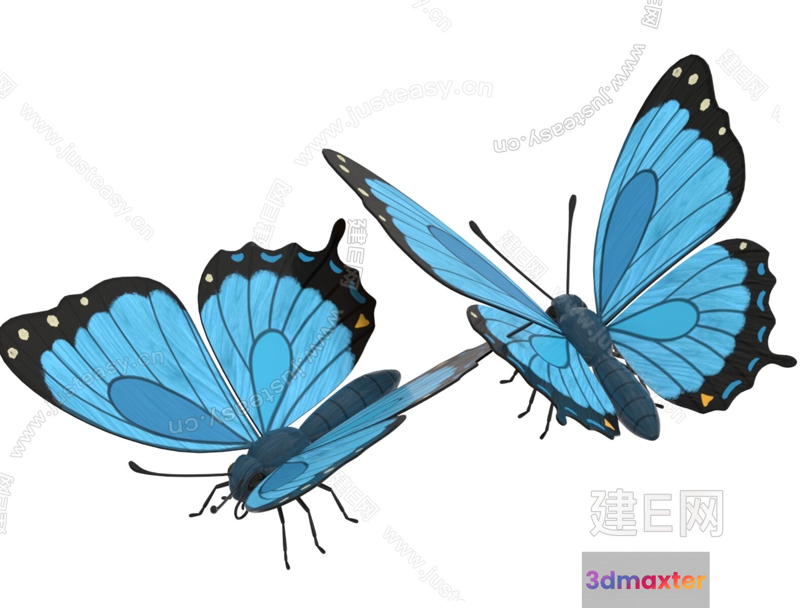Blue Butterfly 3D Model - 18248 - VRAY Render