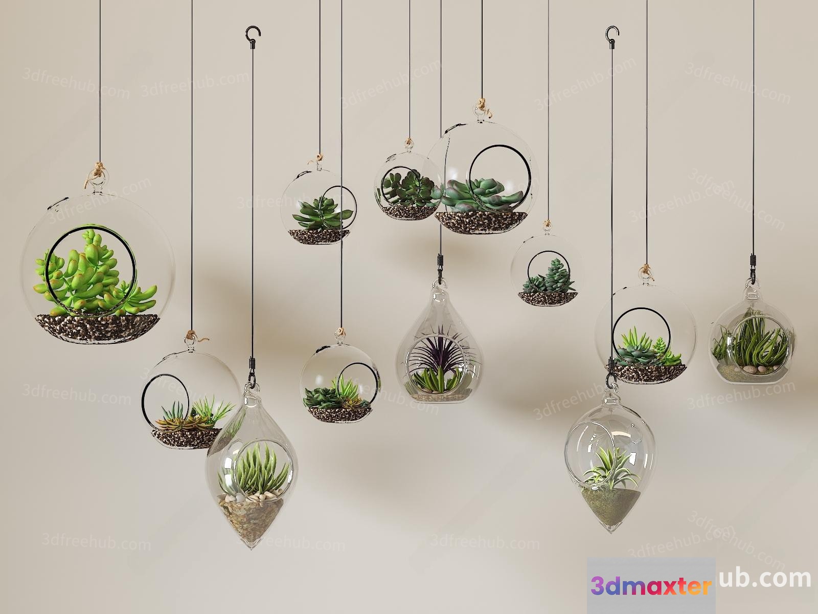 Glass Terrariums With Plants Inside 3D Model - 23611 - VRAY Render