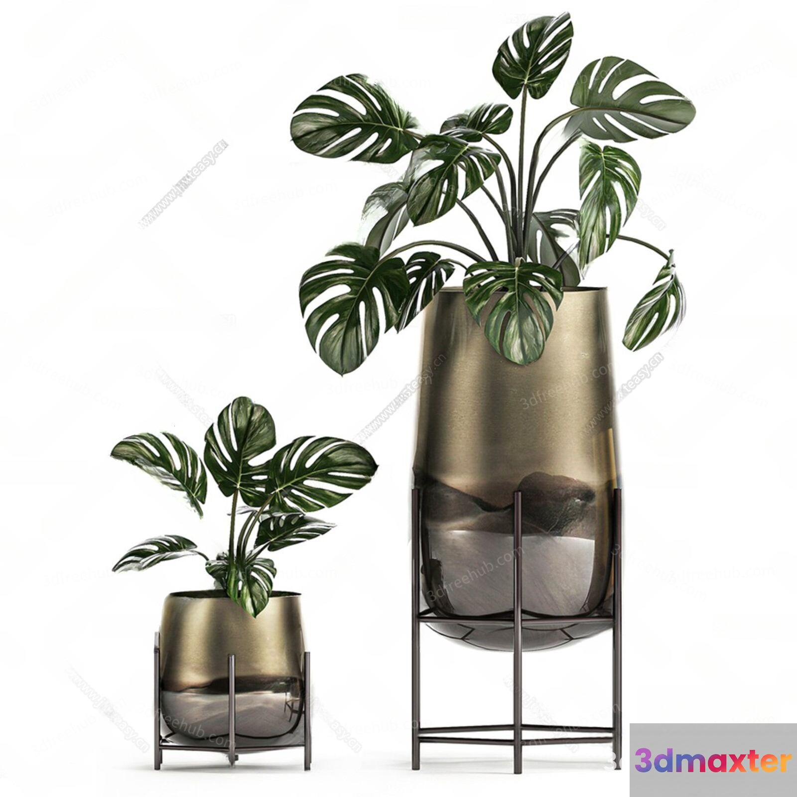 Monstera Plants In Metal Planters 3D Model - 23191 - VRAY Render