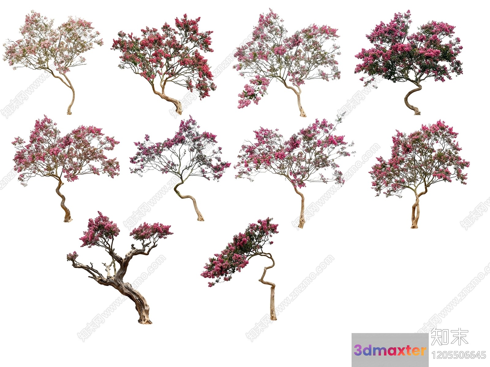 A Tree With Pink Flowers 3D Model - 11069 - VRAY Render