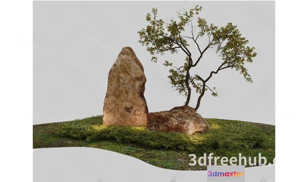 A 3D Rendering Of A Tree And Rocks 3D Model - 18765 - VRAY Render