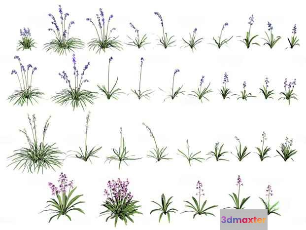 Flowers And Grass 3D Model - 18805 - VRAY Render