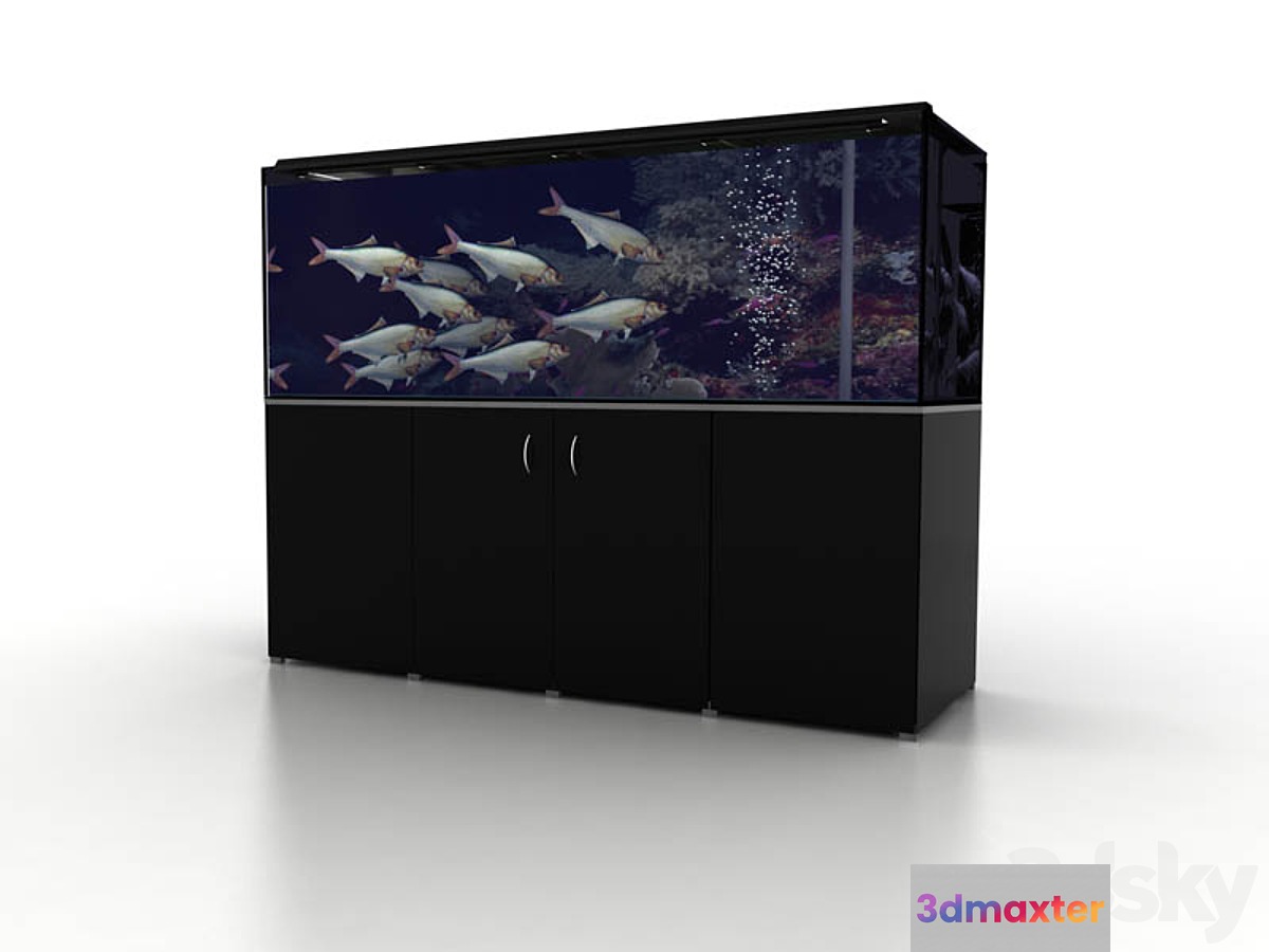 Aquarium - No.26