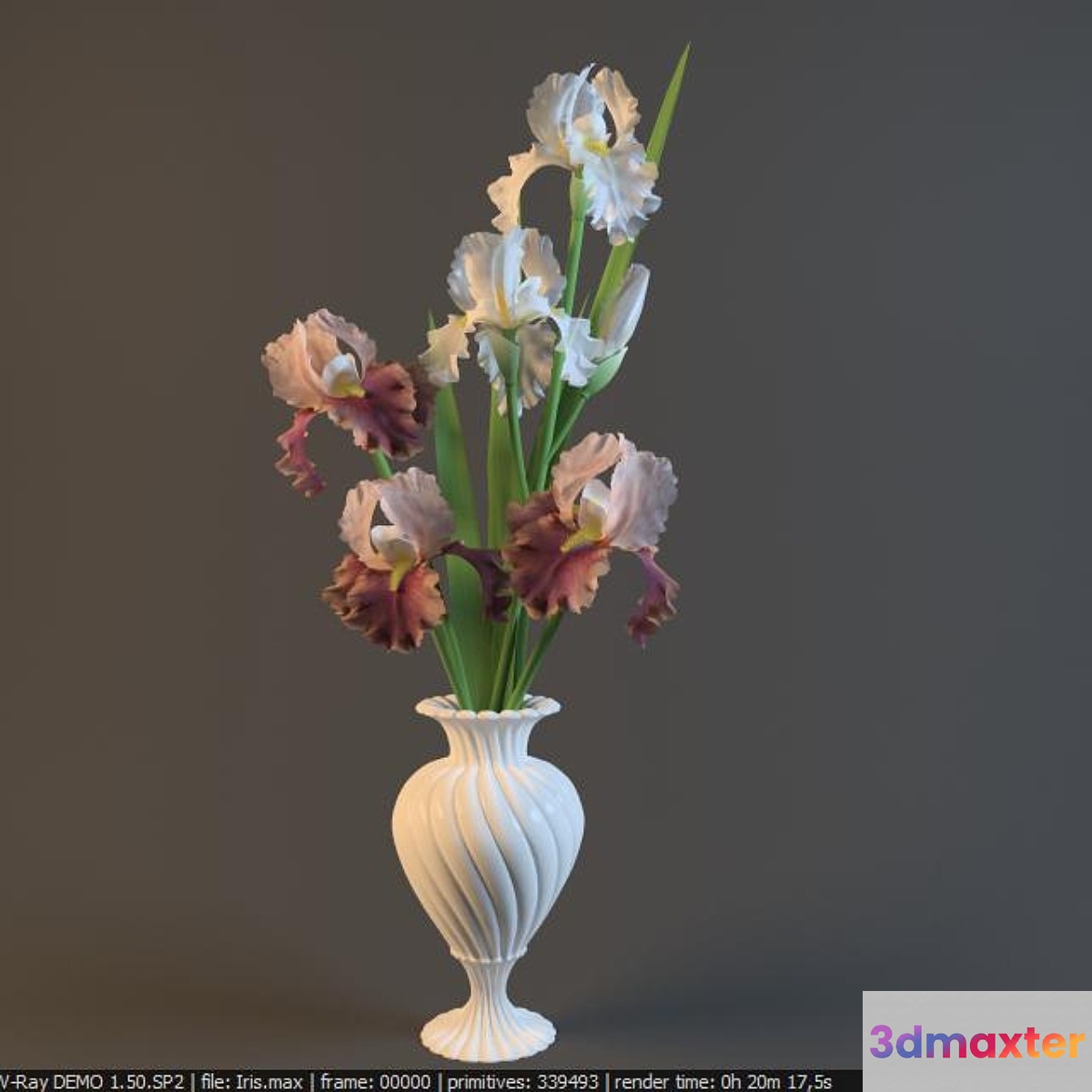 Irises in a vase