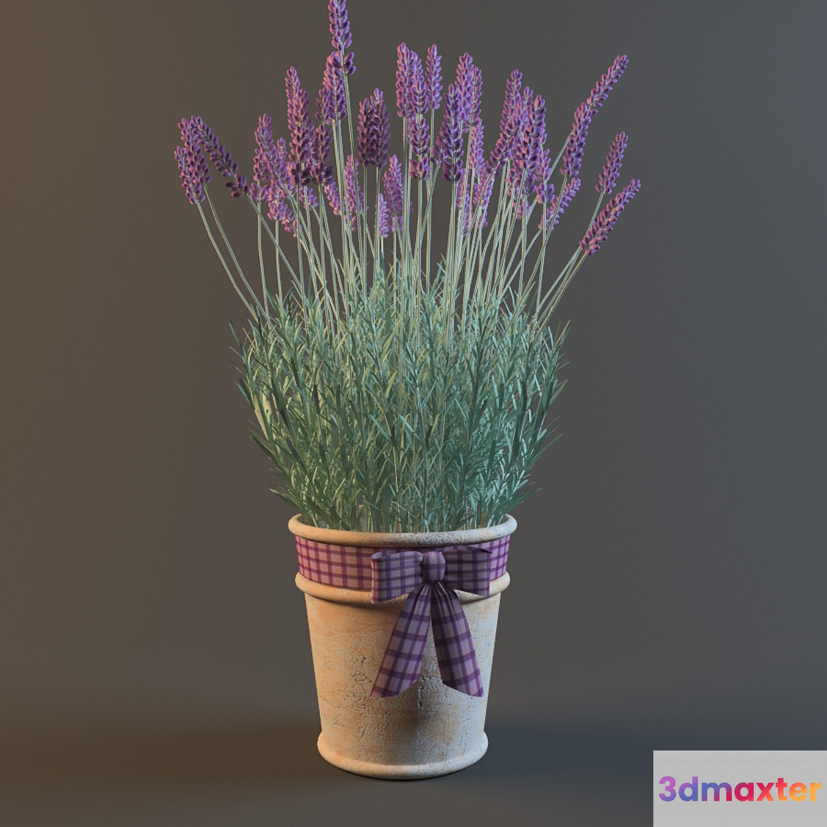 PROFi Lavender