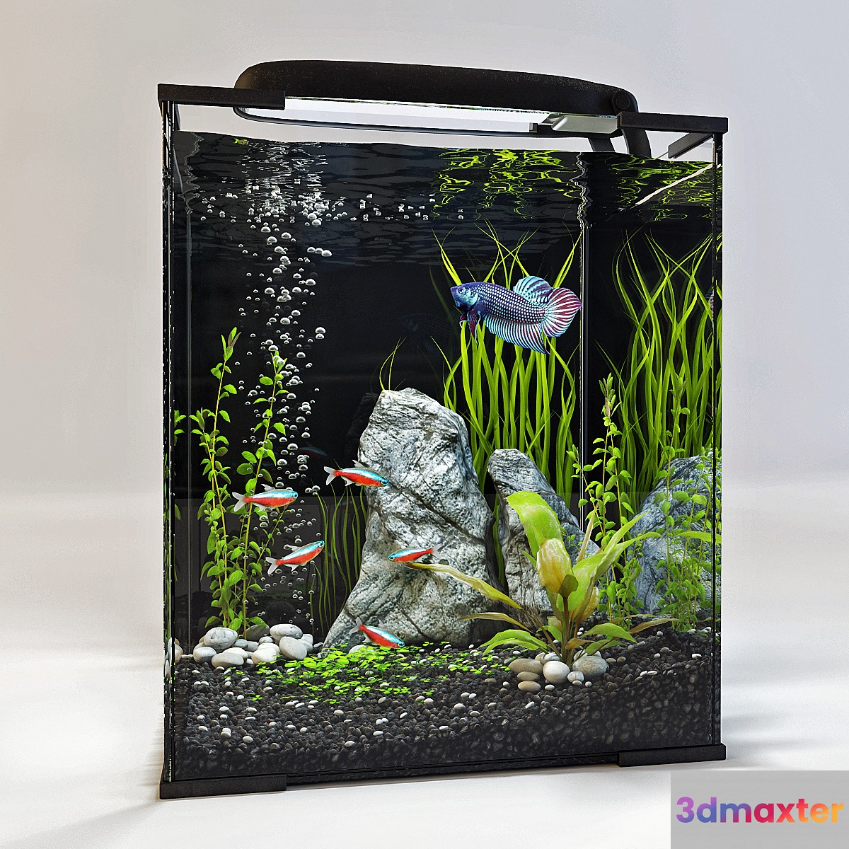 Aquarium - No.10