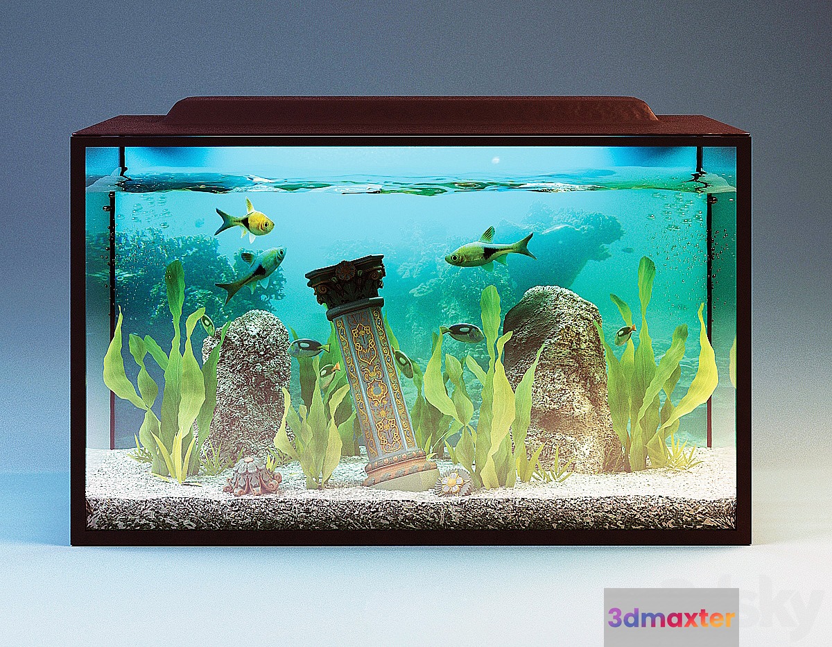 Aquarium 3D Max