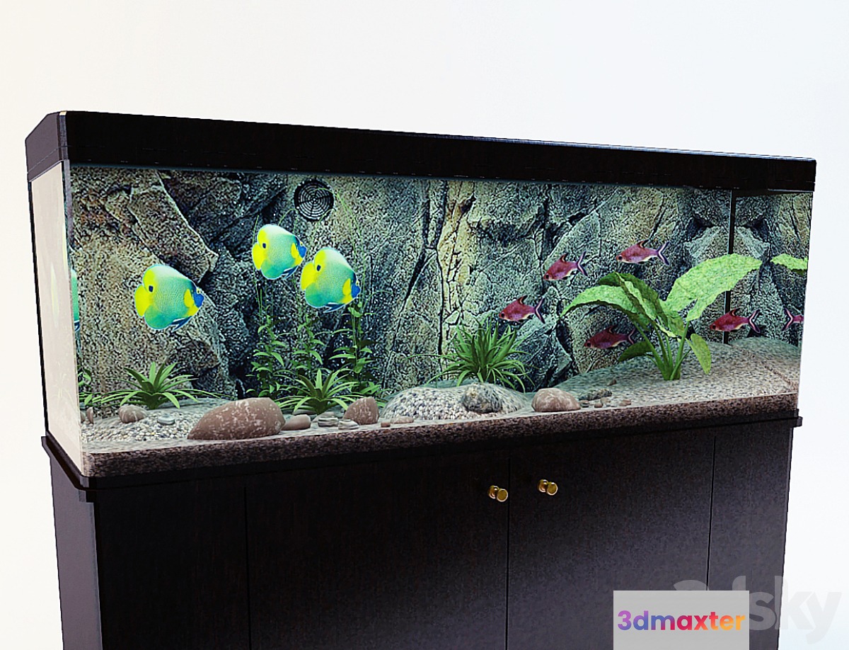 Aquarium - No.36