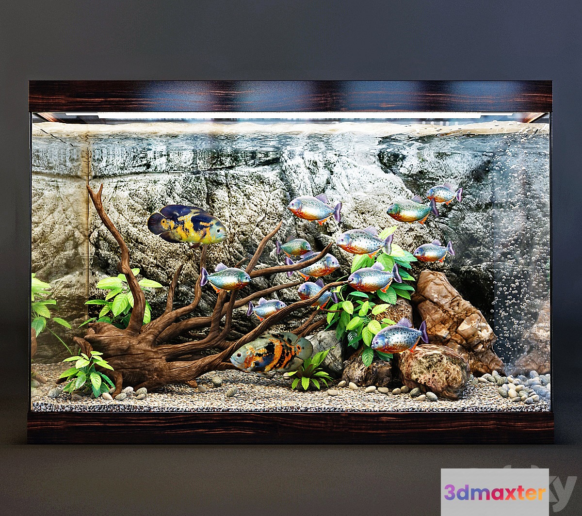 Aquarium - No.12