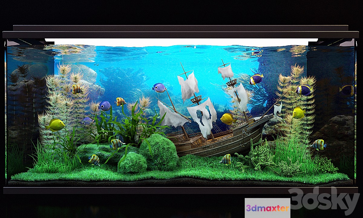 Aquarium - No.5
