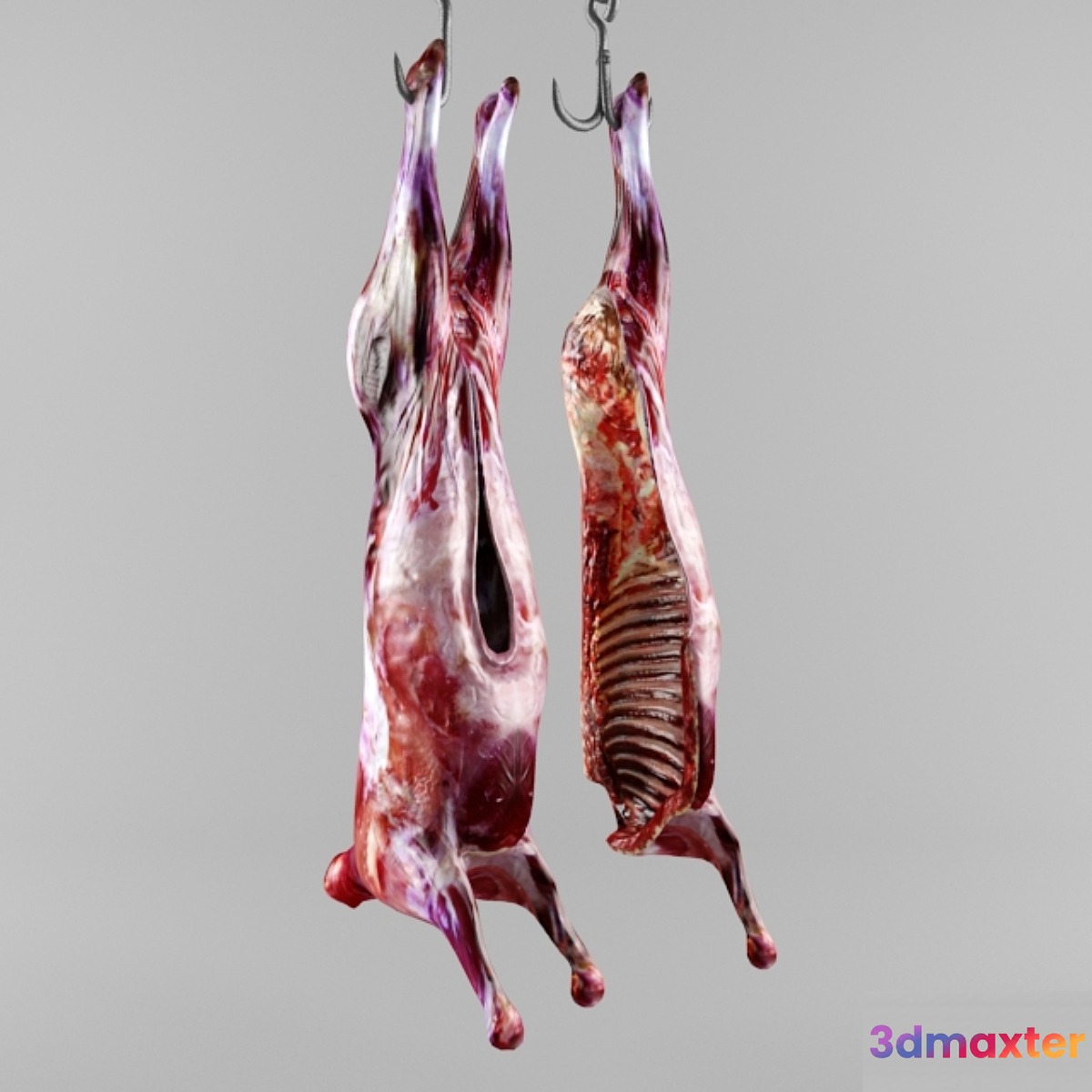 the carcass of an animal 3D Max