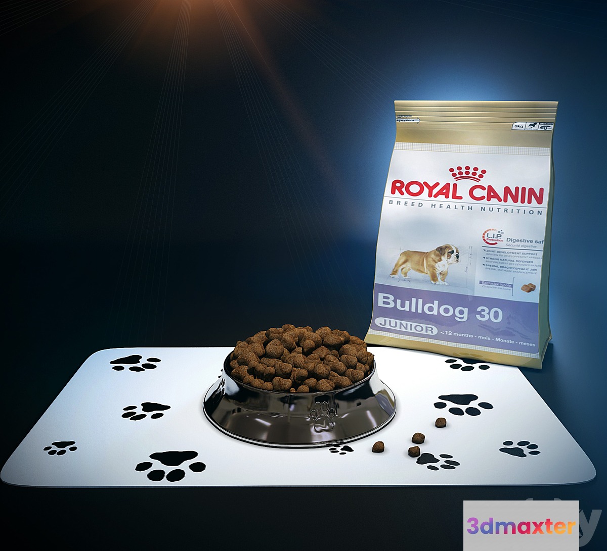 Bowl for the dog and cat food 3D Max